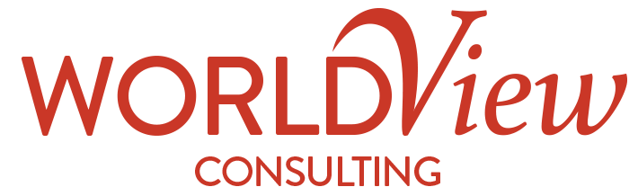 WorldView Consulting Meera Debhar