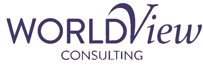 WorldView Consulting Meera Dhebar